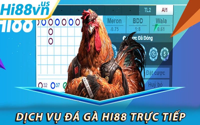 Giới thiếu dịch vụ đá gà hi88 trực tiếp 