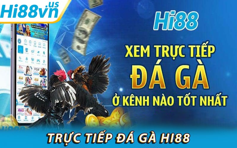 Dịch vụ trực tiếp đá gà hi88 phát hành